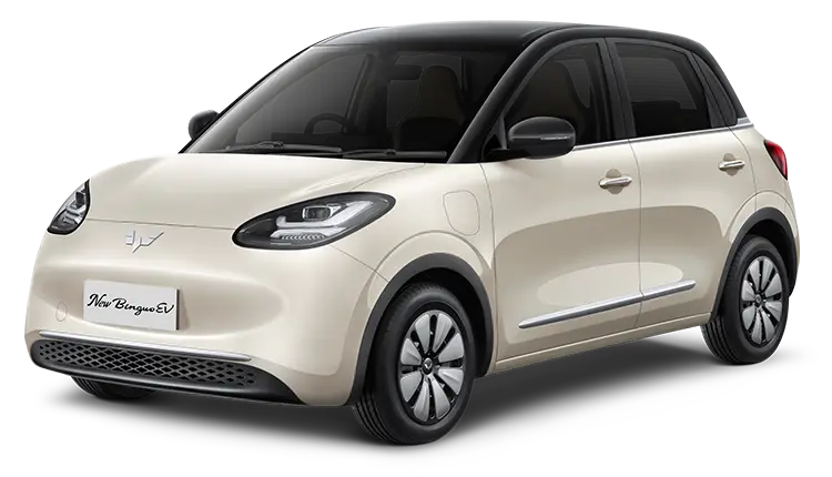 Wuling NEW BINGUO EV